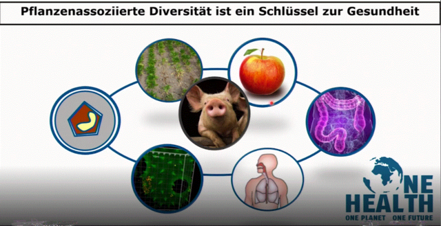 Bilder von Acker, Apfel, Darm, Mensch, Schwein, 3 D-Bild, isoliertem Bakterium als Kreislauf, darüber Überschrift: Pflanzenassoziierte Diversität ist ein Schlüssel zur Gesundheit, rechts unten Logo von [engl]: One Health, One Planet, One Future