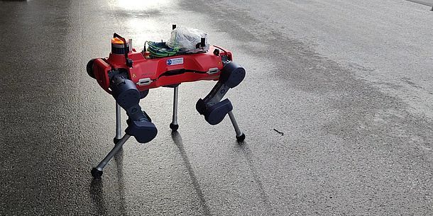 Ein Roboter, der einem Hund ähnlich sieht, geht auf einer feuchten Straße