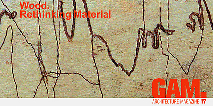 Beiger Hintergrund durchzogen von braunen Linien mit der orangen Aufschrift „Wood. Rethinking Material“ GAM.17 Architecture Magazine.