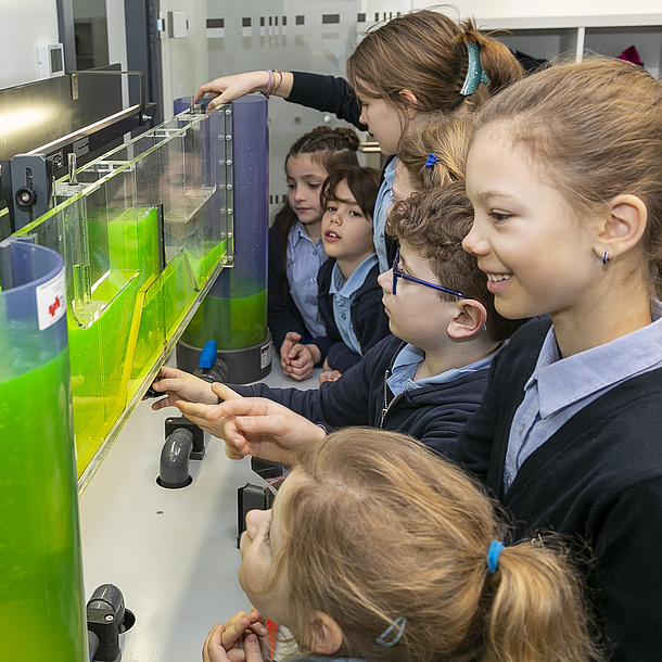 Kids are looking at containers with green liquids