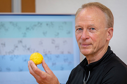 A researcher holds a small yellow model of the human brain in his hands