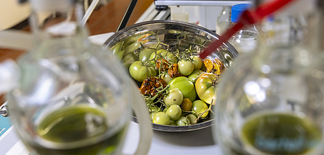 Eine Schüssel mit Tomaten, davor angedeutet Glasbehälter mit Flüssigkeiten.