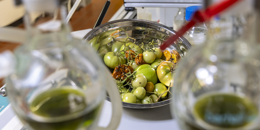 A bowl of tomatoes, in front of it a glass container with liquids.