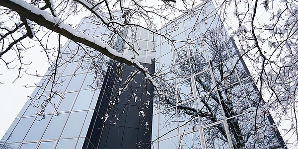 Bibliotheksgebäude mit verschneitem Baum im Vordergrund