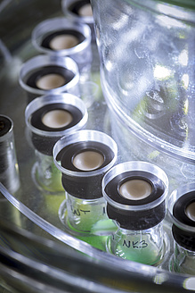 Close-up of small glass container with green liquid.