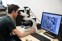 A man is sitting at a table looking into a microscope, with a screen next to him.