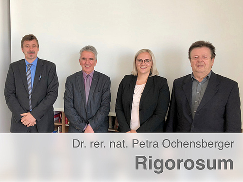 Dissertation vs thesis picture