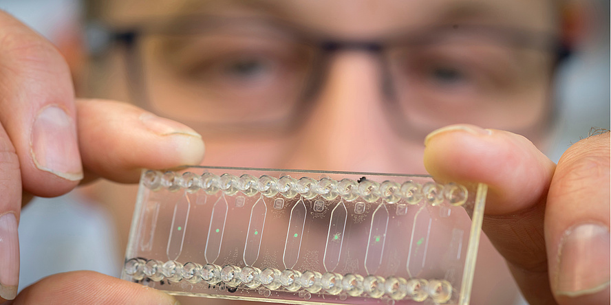 A man is holding a transparent plastic plate.