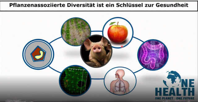 In a Circle pictures of Field, Apple, Intensine, Human, Pig, Microscope 3D Picture, isolated bacterium,; above the title plant associated diversity as a key to health (in German), in the right corner logo of One Health, One Planet, One Future