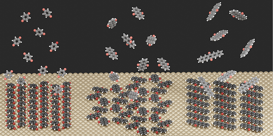 Grafik zeigt Moleküle und Oberflächenstrukturen