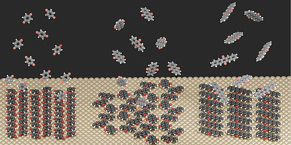 [Translate to Englisch:] 