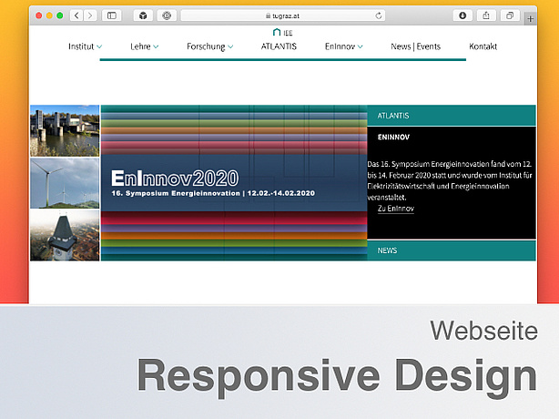 Screenshot of the institute homepage.