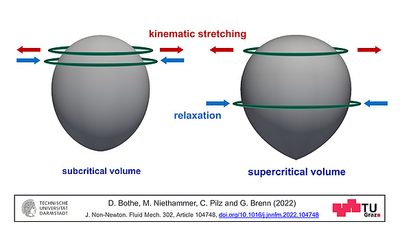 Two (grey) gas bubbles, schematic representation