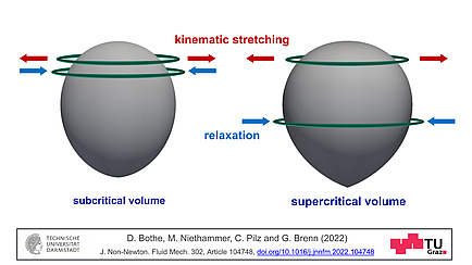 Two (grey) gas bubbles, schematic representation
