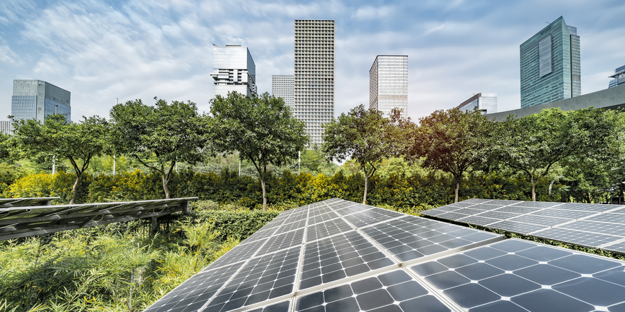 Trees, skyscrapers and solar panels.