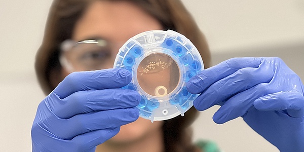 Lehrende hält einen Bioreaktor in der Hand, der ein im Labor gezüchtetes menschliches Mini-Organ enthält, das vier Wochen lang in diesem System kultiviert wurde.