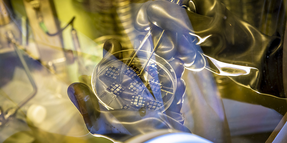 Two hands clad in thick plastic gloves hold a transparent bowl with small solar cells inside.
