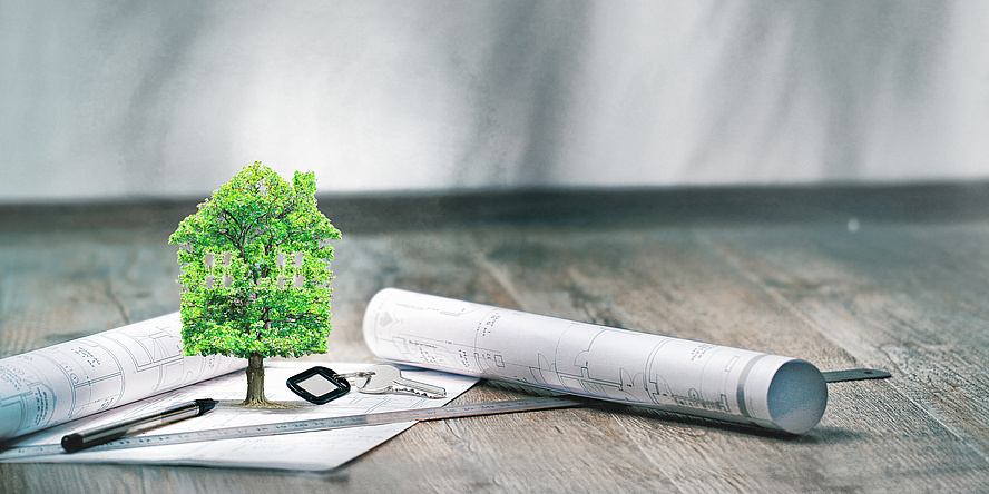 Auf einem hölzernen Tisch liegen mehrere Rollen Papier. Es sind architektonische Pläne. Auf einem der Pläne steht ein kleiner, grüner Baum.