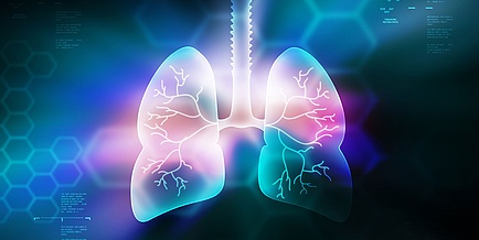 Abstract graphical representation of a lung