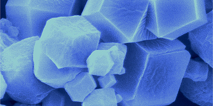 The image of a microporous crystal taken by an electron microscope