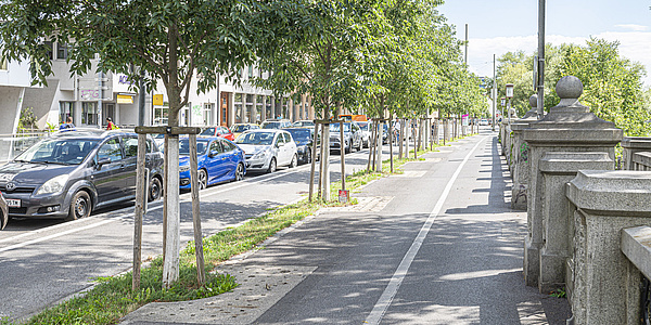 Ein Fuß und ein Radweg werden durch eine Reihe von Bäumen getrennt. Am linken Bildrand verläuft eine Straße, an deren Rand Autos geparkt sind.