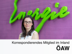 Woman with glasses in front of a purple wall with the large green lettering “Energie” and the text “Korrespondierendes Mitglied im Inland ÖAW”.