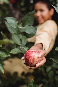 a boy holds an apple in his hand