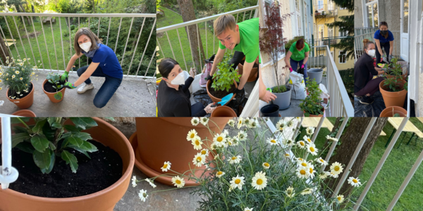 balcony, plants, sustainability 