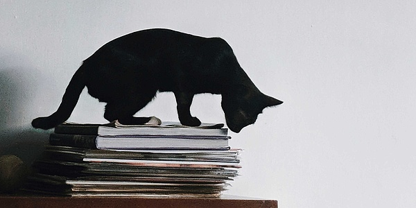 schwarze Katze auf einem Stapel Zeitschriften