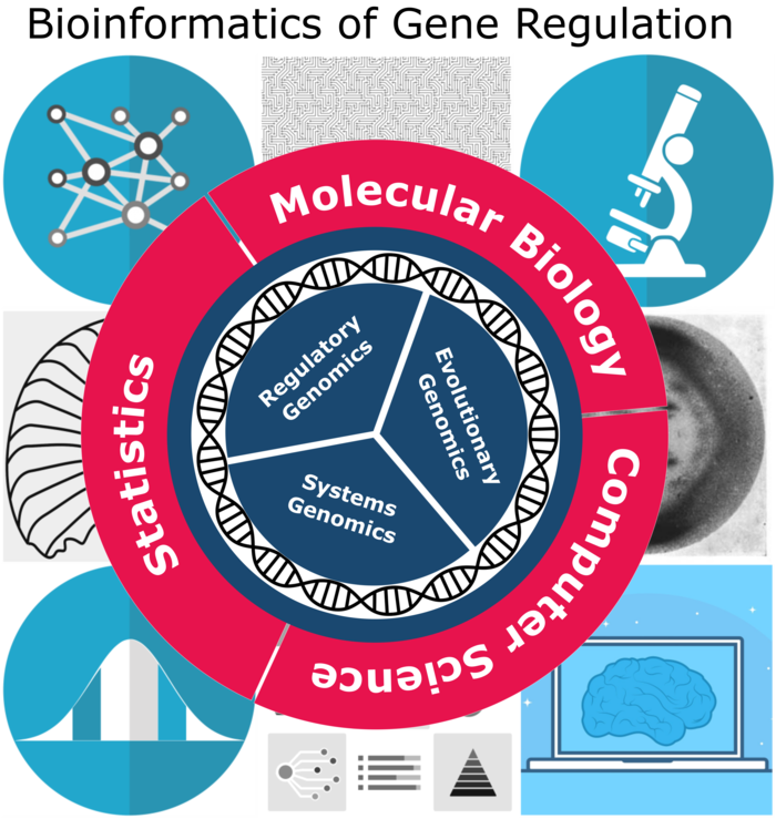 A circle in three equal parts - they say "Regulatory Genomics", "Evolutionary Genomics" and "System Genomics". Around it is helix. Again around it is a circle in three equal parts - they say "Molecular Biology", "Computer Sience" and "Statistics". Around it are several pictures of a computer, a microscope and similar things.