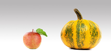 an apple and a pumpkin