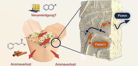 Die Illustration einer mit Nudeln und Gemüse gefüllten Papierbox. Neben der Box sind stark vergrößert die Fasern des Papiers dargestellt.