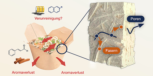 Illustration of a paper box filled with pasta and vegetables. Next to the box, the fibers of the paper are shown greatly enlarged.