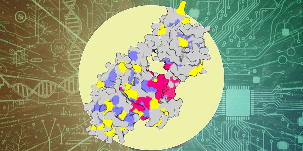 Vor einem gelben Kreis ist eine verwobene Struktur zu sehen, die ein Protein darstellen soll. Im Hintergrund sind Schaltkreise und Doppelhelix zu sehen.