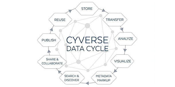 Schematische Darstellung eines Kreislaufs mit den Stationen: Store, Transfer, Analyze, Visualize, Metadate Markup, Search & Discover, Share & Collaborate, Publish, Reuse