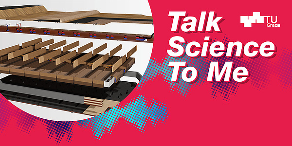 A graphic of the wooden shell.