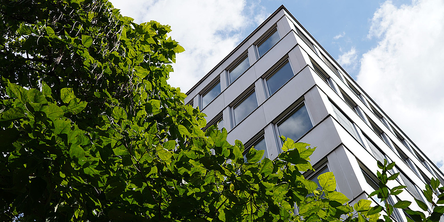 Bibliotheksgebäude aus Froschperspektive mit grünendem Baum im Vordergrund