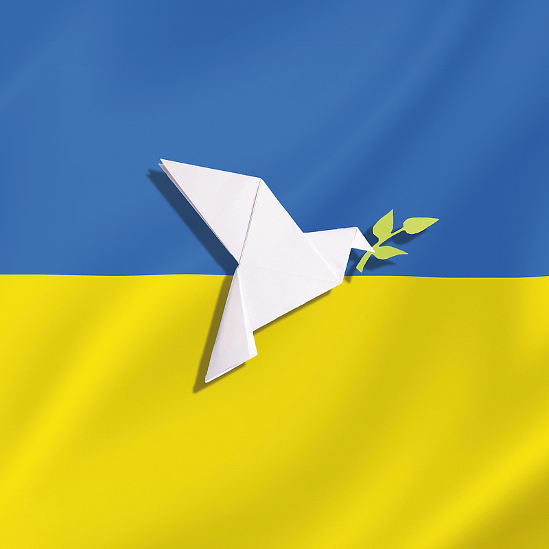 Flagge der Ukraine und Friedenstaube