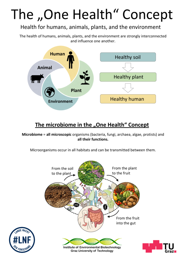 Poster of the "One Health" Concept, some illustration and following text: Health for humans, animals, plants, and the environment The health of humans, animals, plants, and the environment are strongly interconnected and influence one another. The microbiome in the „One Health“ Concept Microbiome = all microscopic organisms (bacteria, fungi, archaea, algae, protists) and all their functions. Microorganisms occur in all habitats and can be transmitted between them.From the soil to the plant  From the plant to the fruit  From the fruit into the gut