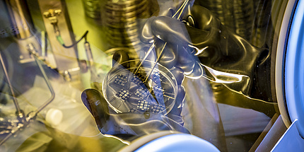 Two hands in rubber gloves are holding a tray containing organic solar cells.