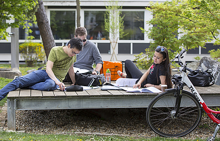 Drei Studierende lernen im Freien