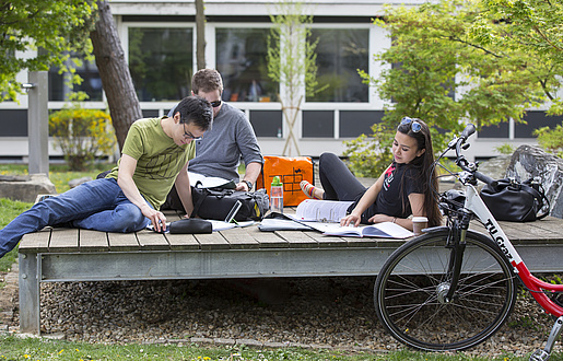 Three students learing outside in the sun