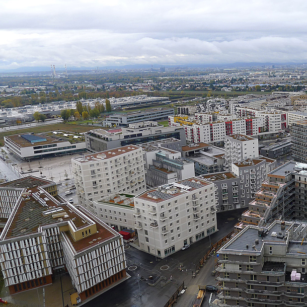 Buildings of a city in top view.