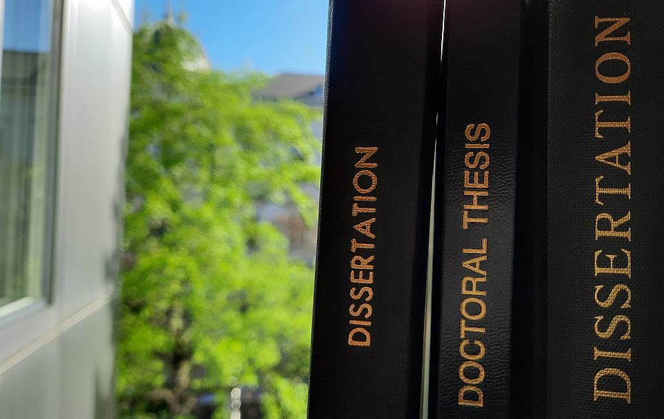 Phd dissertation picture