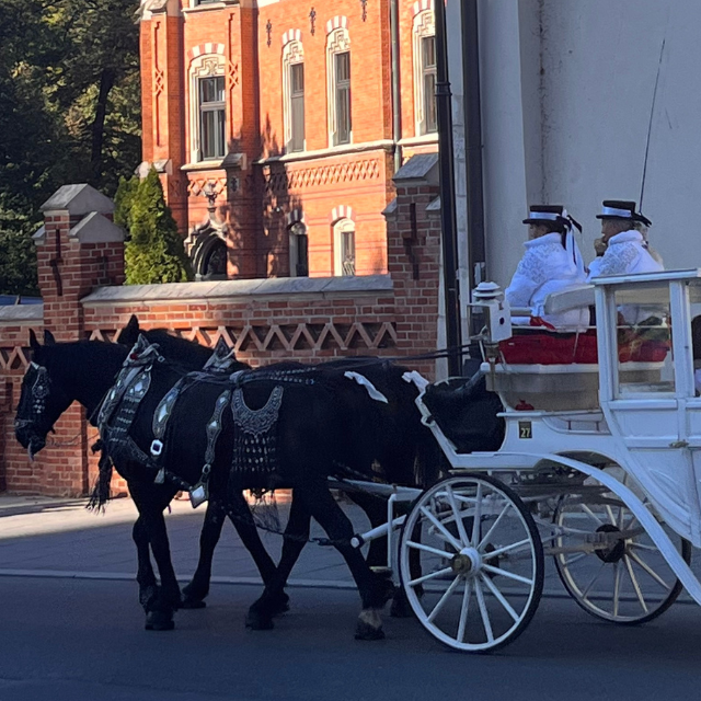 Zwei Schwarze Pferde ziehen eine weiße Kutsche durch die Innenstadt von Krakau.