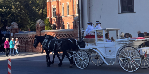 Zwei Schwarze Pferde ziehen eine weiße Kutsche durch die Innenstadt von Krakau.