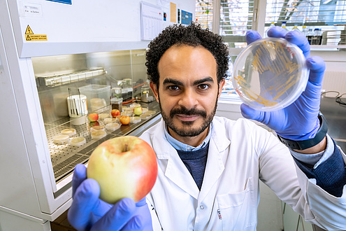 Researcher with apple and petri dish
