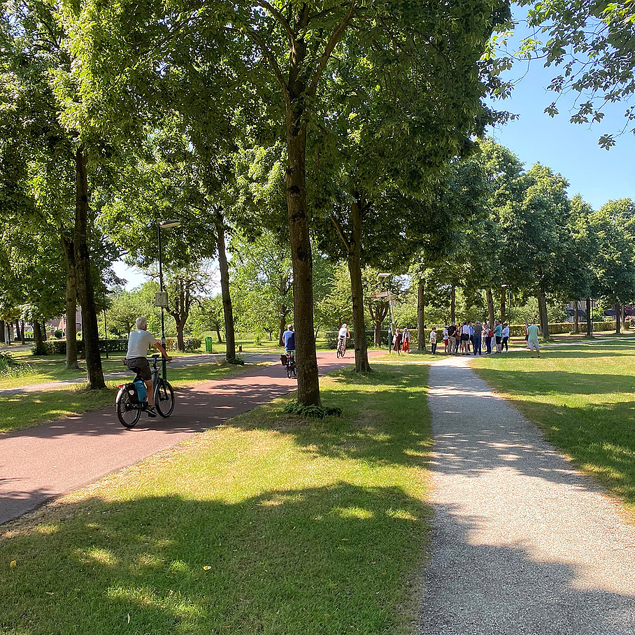 Symbolbild Park mit Radwegen