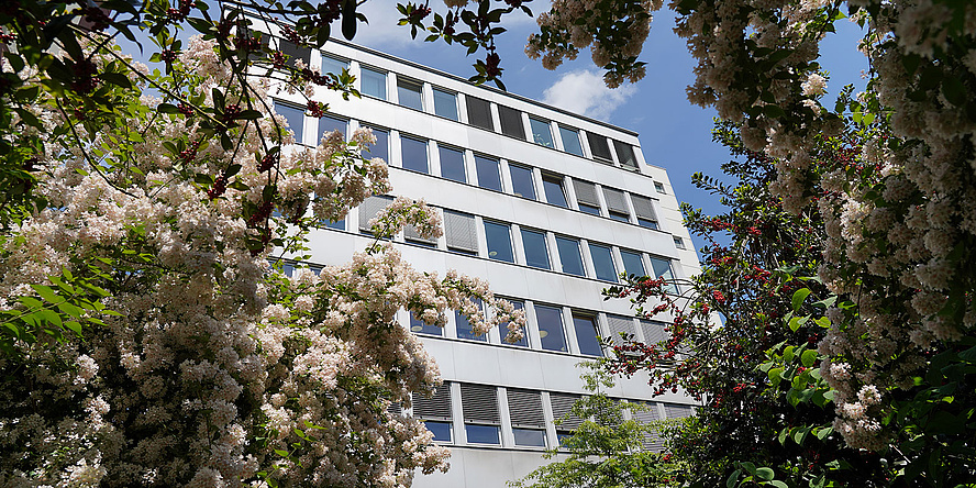 Bibliotheksgebäude mit Blumen und Sträuchern im Vordergrund