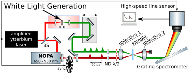 Whtie light setup using fast line scan detection